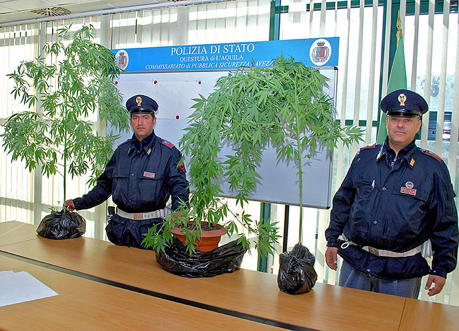 LA CASSAZIONE: non è reato la marijuana in vaso nel terrazzo di casa