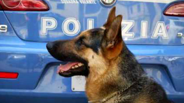 Cambiano i distintivi di qualifica della Polizia