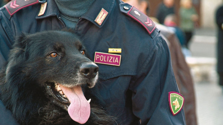 selezioni 27° Corso per conduttori cinofili antidroga - la circolare