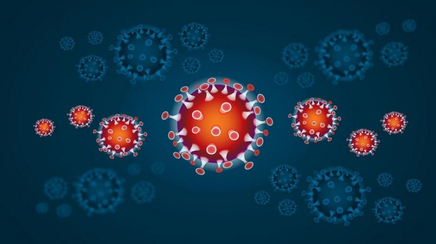 Polmonite da nuovo Coronavirus – Misure urgenti di protezione dei lavoratori aventi carattere temporaneo