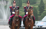 Selezione per cavaliere per esigenze della fanfara a cavallo della Polizia