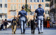 Comitato pari opportunità: nomina presidente - decreto capo della Polizia